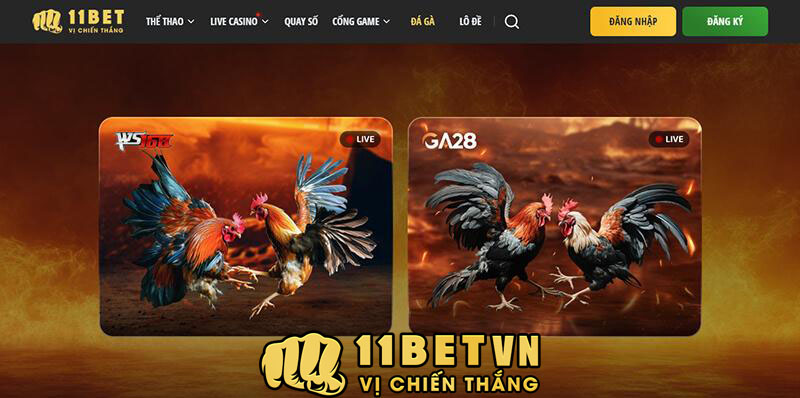 Chuẩn top thể loại đá gà hấp dẫn đang được các gà thủ đam mê